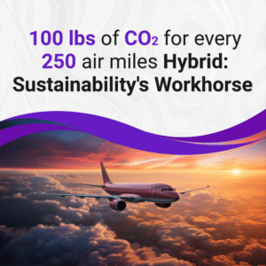 Sustainability_headshot